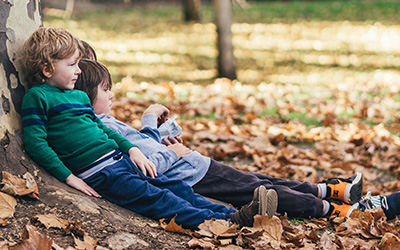 Resource Hub and Expert Guidance